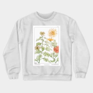 Chrysanthemum (1896) Crewneck Sweatshirt